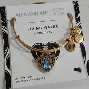 Alex and Ani Living Water 💧 Community bracelet